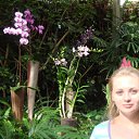 ���� ����, ���������, 40 ��� - ��������� 15 ����� 2010 � ������ ������������