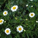  ok, --, 44  -  7  2010   