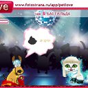 ���� ���������, ����, 72 ���� - ��������� 29 ������� 2010 � ������ �PetLove�