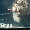  Lika_magistr, , 51  -  10  2009     ....