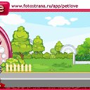 ���� ������(������), ����, 26 ��� - ��������� 15 �������� 2010 � ������ �PetLove�