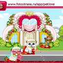  , , 37  -  9  2010   PetLove