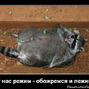 ���� �������, ����, 58 ��� - ��������� 21 ���� 2013 � ������ �������