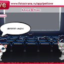 ���� ���������, ����������, 30 ��� - ��������� 4 ����� 2011 � ������ �PetLove�
