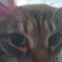 ��� ��� �� ������� ����� ��� ������������