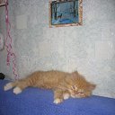 ���� �������, ������, 34 ���� - ��������� 1 ���� 2010 � ������ �����