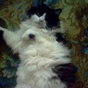 ���� ������, ��������� - ��������� 29 ������� 2010 � ������ ����...�