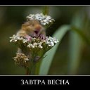 ����� �� ���� ����������! ))) ��� ��� ���� )))) �� ������� ���� ����������