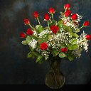 ���� Lika, �������� - ��������� 30 ������ 2010 � ������ �������
