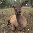 ���� �������, ���������, 46 ��� - ��������� 12 ������� 2012 � ������ �������