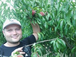 �������, ����, 40 ���