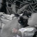 ���� ���@����@, �������, 49 ��� - ��������� 14 ����� 2010 � ������ ���� �����