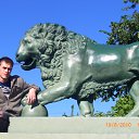 ���� ������, �����, 39 ��� - ��������� 20 �������� 2010 � ������ �������