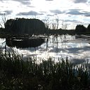 ����������� �� ������� ���� ����������