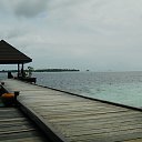 ���� �����, ������, 55 ��� - ��������� 31 ������� 2012 � ������ �������