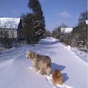 ���� �����, ������, 55 ��� - ��������� 3 ������� 2011 � ������ �������