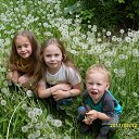 ���� ������, ������, 41 ��� - ��������� 3 ������ 2012 � ������ ���� ����������