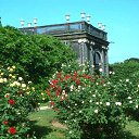 ���� ����, ���������, 52 ���� - ��������� 16 �������� 2012 � ������ �������