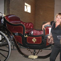 ��������� 2010