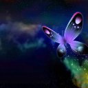 ���� ������, ������, 68 ��� - ��������� 15 ������ 2012 � ������ �������Ȼ