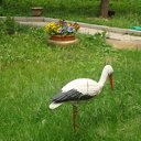 ���� �����, ������, 58 ��� - ��������� 26 ���� 2011 � ������ �����