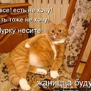 ���� ��������, ����, 72 ���� - ��������� 23 ������� 2012 � ������ ���� ����������