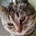 �� �����! ��� � ����� ������! �� ������� ���� ���� � ������ ��������