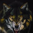 ���� �����, �����-�������� - ��������� 4 �������� 2012 � ������ �� ���� � ���� ������� ���.�