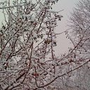 ���� ������, ���������, 39 ��� - ��������� 14 ������� 2009 � ������ �74 �����