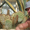 ��� ������