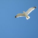 ���� ������� �� �������!!!, ��������� - ��������� 2 ������� 2013 � ������ ���� ����������