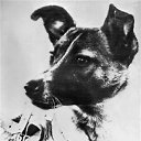 ����� �� ������� �������-����������.�