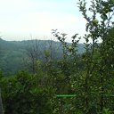 ���� ������, ����, 47 ��� - ��������� 21 ���� 2010