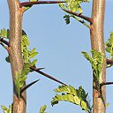 ���� ����. ��������� �� ��!, ������, 72 ���� - ��������� 30 ������ 2011 � ������ ����� � �����