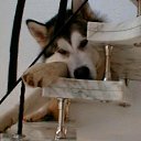  Walter, , 64  -  16  2012   