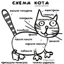 ���� �������, ����, 51 ��� - ��������� 23 ������ 2012 � ������ ���� ���û