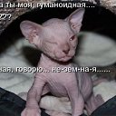 ���� Gnom, ���������, 39 ��� - ��������� 28 ������ 2010 � ������ �������� � ��������� ;-)�