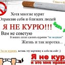 ���� ������, ���������, 44 ���� - ��������� 31 ������� 2009 � ������ �������