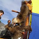 ���� �������, �������������, 64 ���� - ��������� 11 ������� 2011 � ������ ����������