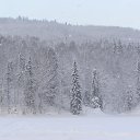  Masterkej, , 50  -  4  2011