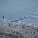 ���� Tanechka, ��������� - ��������� 16 ���� 2012 � ������ ����� �������