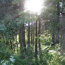 ������� ���������. 05.06.2012 �. �� ������� ����������