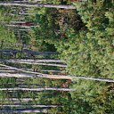 ���� ����, �����-���������, 66 ��� - ��������� 15 ����� 2012 � ������ ���� ����������