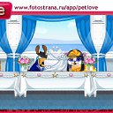 ���� ����, ������� - ��������� 11 ������� 2010 � ������ �PetLove�