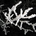  ir@ge))) ))), , 47  -  22  2011    