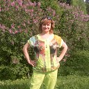 ������� ������� 2013