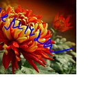 ���� ���, �������, 43 ���� - ��������� 13 ���� 2011 � ������ ������ ������ �������