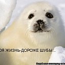 ���� Alenka, ��������������, 49 ��� - ��������� 30 ��� 2010 � ������ �������
