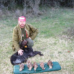 ���� ������, �����������, 62 ���� - ��������� 19 ������� 2012