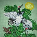 ���� ������ �����, �����������, 66 ��� - ��������� 7 �������� 2012 � ������ ��Ψ ����Ȼ